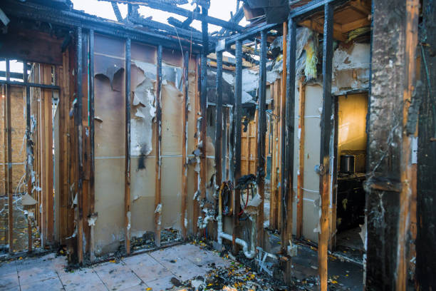 Professional Smoke Damage Removal technician working in Manchester, MI